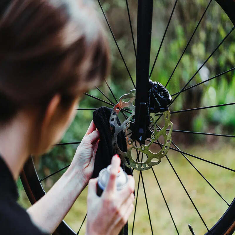 squeaky bike brakes